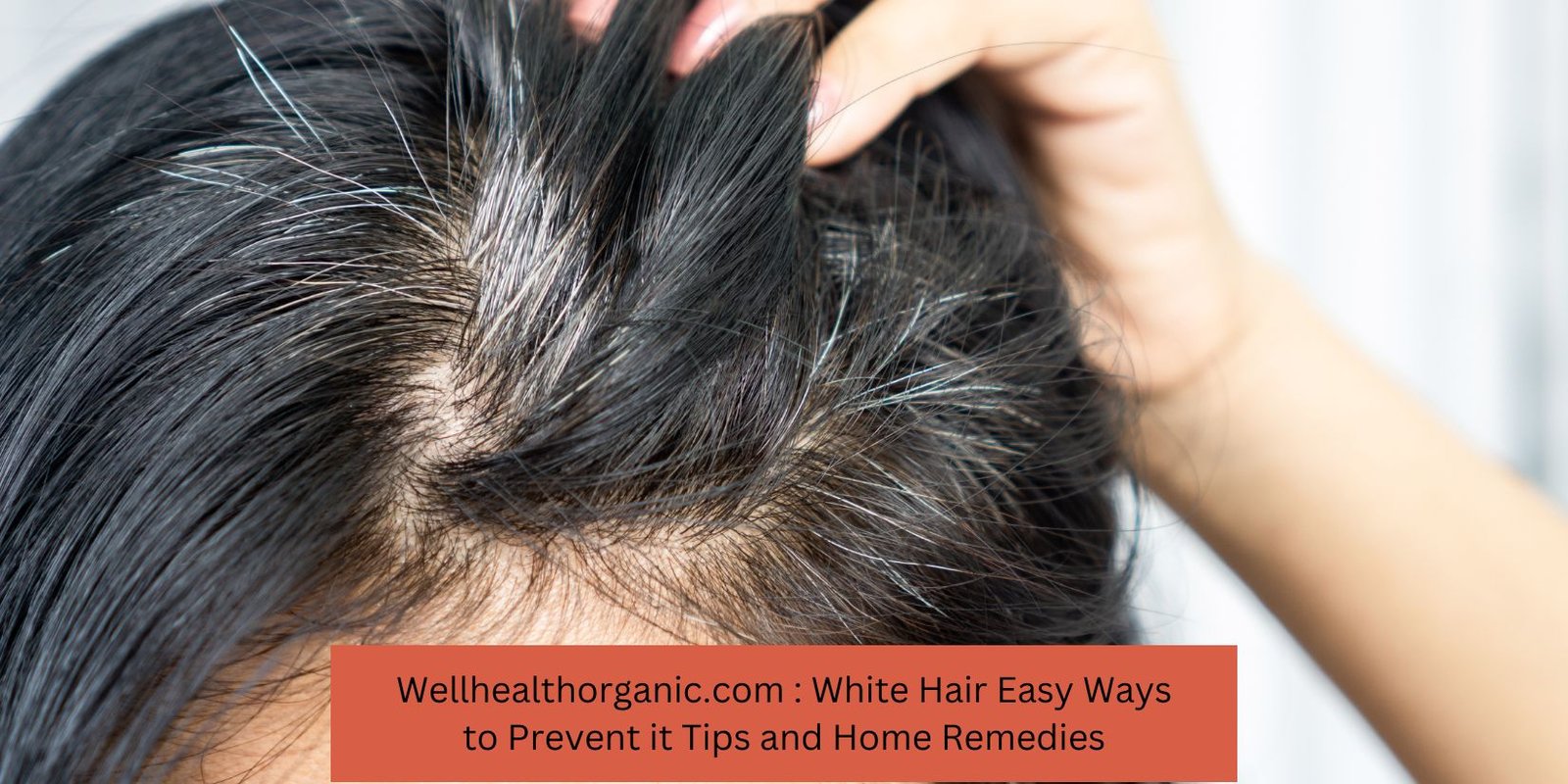 Wellhealthorganic.com : White Hair Easy Ways to Prevent it Tips and Home Remedies