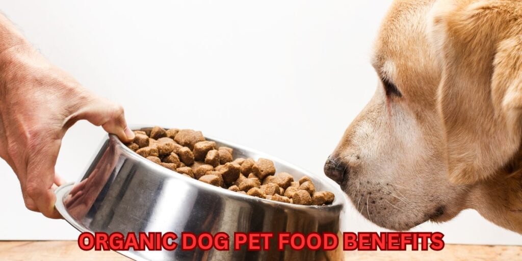 Wellhealthorganic Organic Pet Food Benefits